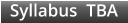 Syllabus  TBA