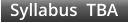 Syllabus  TBA