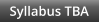 Syllabus TBA