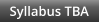 Syllabus TBA